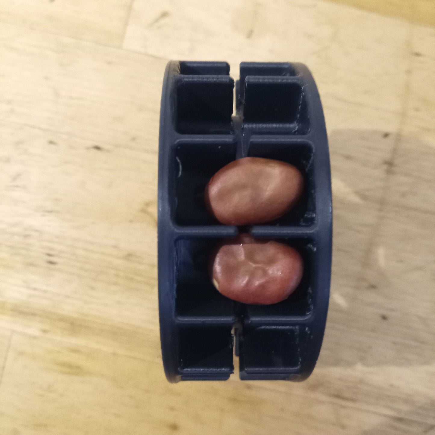 Disque à Fève SemMulch